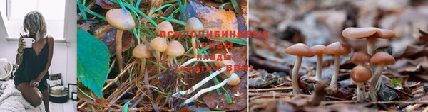 а пвп мука Медногорск