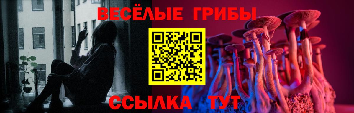 Псилоцибиновые грибы GOLDEN TEACHER  Псилоцибиновые грибы мицелий  что такое   Туапсе  Вход с VPN 