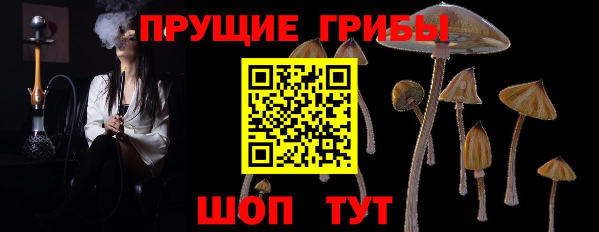 Псилоцибиновые грибы прущие грибы Туапсе